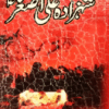 Shahzada Ali Asghar شہزادہ علی اصغر(ع) | Shahzada Ali Asghar (A.S.)